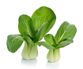 Bok choy (chinese cabbage) isolated on white