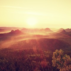 Misty colorful morning. View over birch tree to deep valley full of heavy mist. Autumn landscape after rainy night.