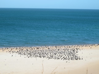 Francois Peron National Park, Shark Bay, Western Australia
