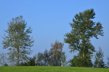 Herbstlandschaft mit blauem Himmel