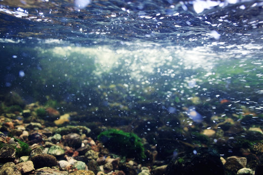 Underwater in a mountain river