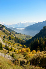 Autumn mountain landscape in the Alps