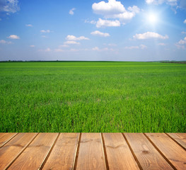 Obraz premium field under blue sky. Wood planks floor