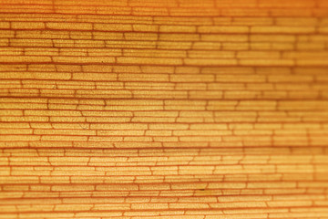 yellow brick texture plant fiber