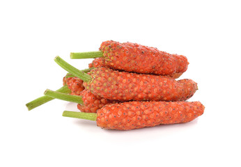 Long Pepper isolated on white background
