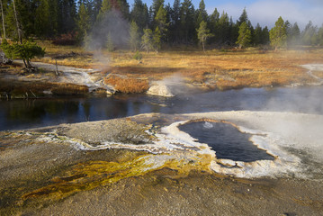 South Scalloped Spring
