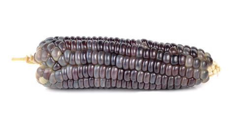 waxy corn on white background