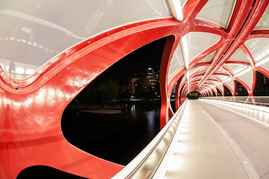 Fototapeta Calgary Peace Bridge Over the Bow River