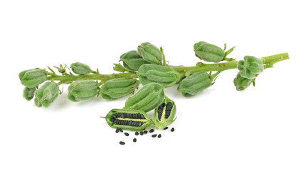 Black Sesame Seeds isolated on white background.