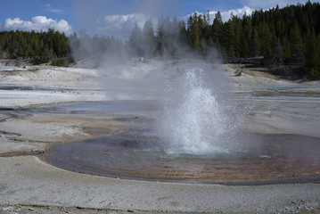 Whirligig Geyser
