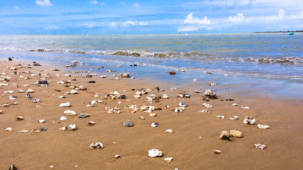 Playa de Sanlúcar con conchas