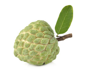 Fototapeta premium Custard apple isolated on white background,annona