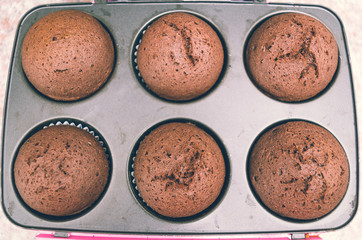 Delicious fresh chocolate cupcakes straight out of oven still