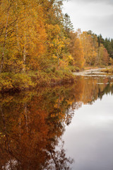 Fototapeta na wymiar Swedish Autumn