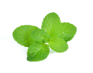 mint leaves isolated on white background
