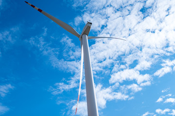 Fototapeta premium Windmill on the field