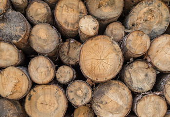 Big pile of cut logs, closeup, Italy