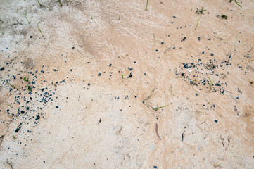 Ground Backgrounds