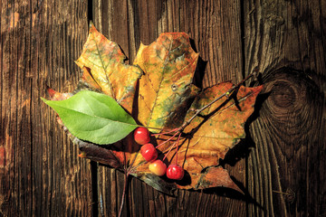 Obraz premium Crabapples on maple leaf.