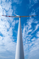 Windmill on the field