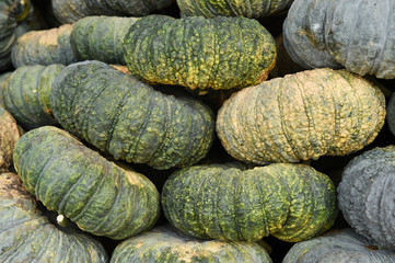pile of pumpkin in market, Thailand
