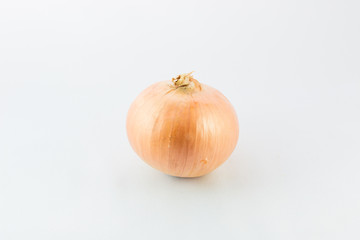 Single onion on white background concept.