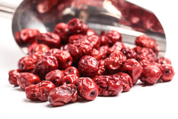 red date on white background