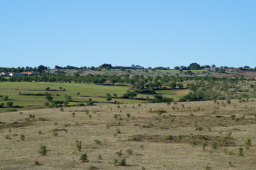 Fototapeta na wymiar Area rurale della Puglia