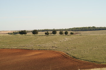 Area rurale della Puglia
