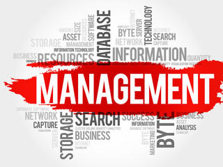 Management word cloud, business concept