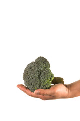 Fototapeta na wymiar broccoli in hand