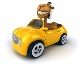 Obraz premium Fun camel