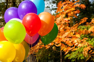 Fototapeta na wymiar balloons in autumn park Yellow Autumn time, multicolored balloon