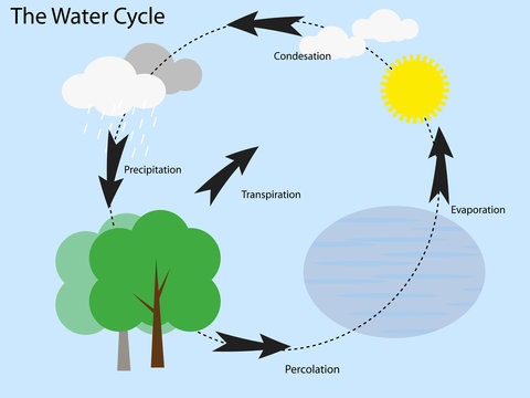 How to draw a water cycle easy step by step Water cycle diagram drawing  for beginners  YouTube