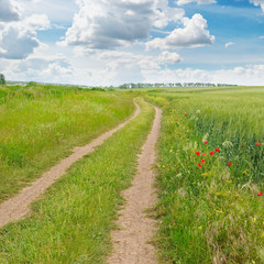 field, country road and a blue sky