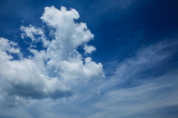 Clear White Clouds and Blue Sky