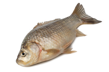 Freshly freshwater fish Crucian carp