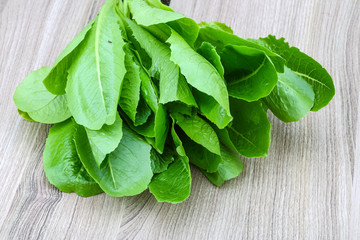 Fototapeta premium Romano salad leaves