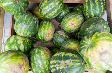 close up of watermelon at street farmers market