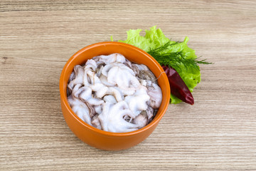 Raw baby octopus