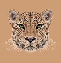 Leopard animal face. Illustrated African, Asian wild cat head portrait. Realistic fur portrait of exotic leopard isolated on beige background.