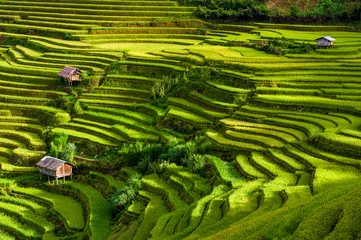 Washable wall murals Rice fields Scenic view of terraced rice fields