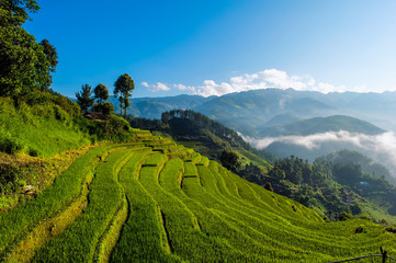 Fototapeta na wymiar Terraced rice fields, Yen Bai province, Vietnam
