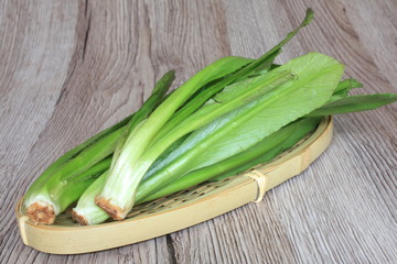 Panicaut fétide 