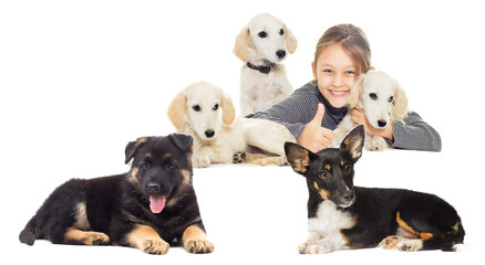 girl and a lot of puppies