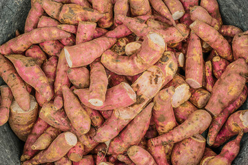 piles of sweet potato.