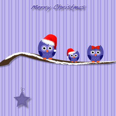 Eulen - Vektor Grafik