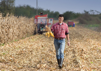 Farmer on corn field