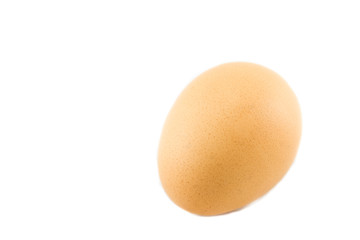 egg on a white background