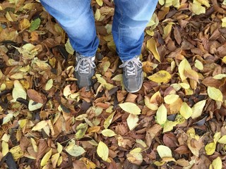 Obraz premium autunno